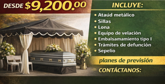 Planes transportistas